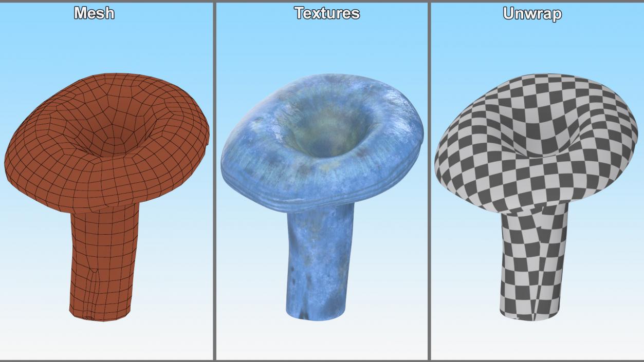 3D Lactarius Indigo 2 model