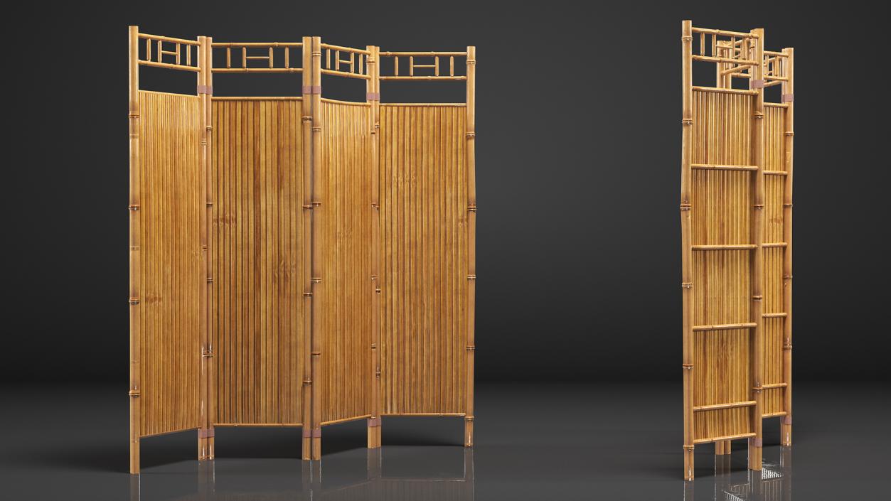 Folding Room Dividers Collection 2 3D model