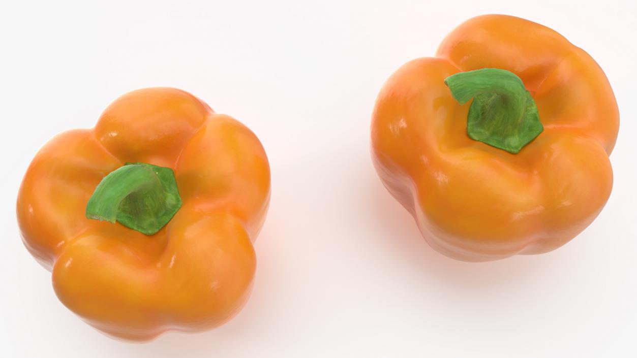 Bell Pepper Orange Sun 3D