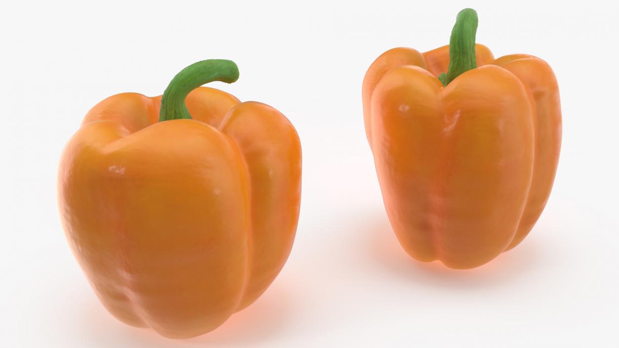 Bell Pepper Orange Sun 3D