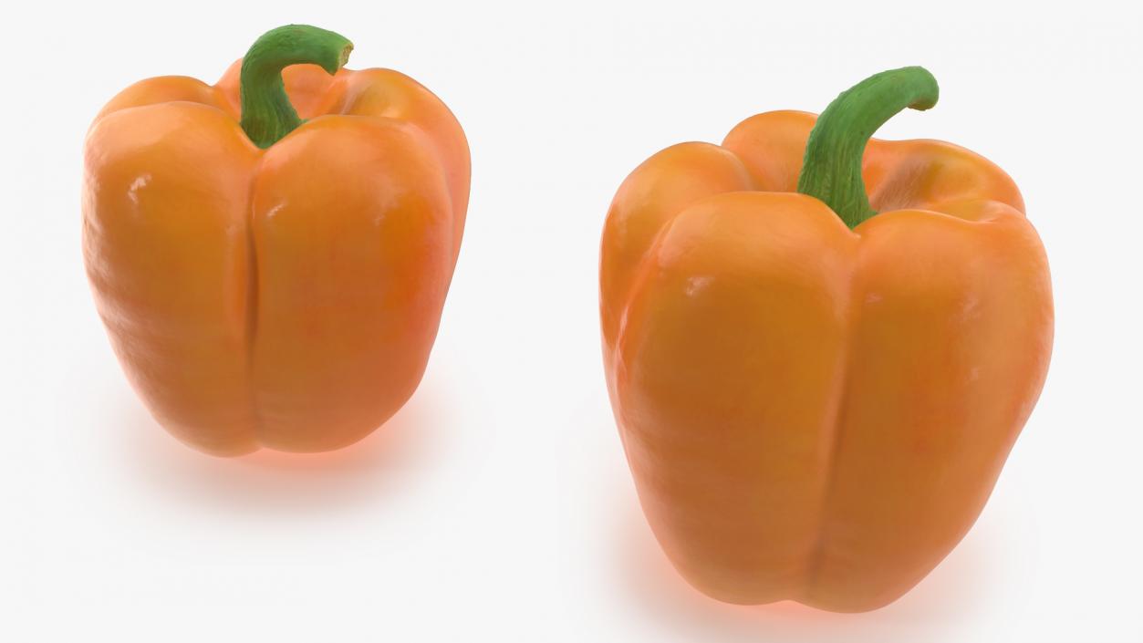 Bell Pepper Orange Sun 3D