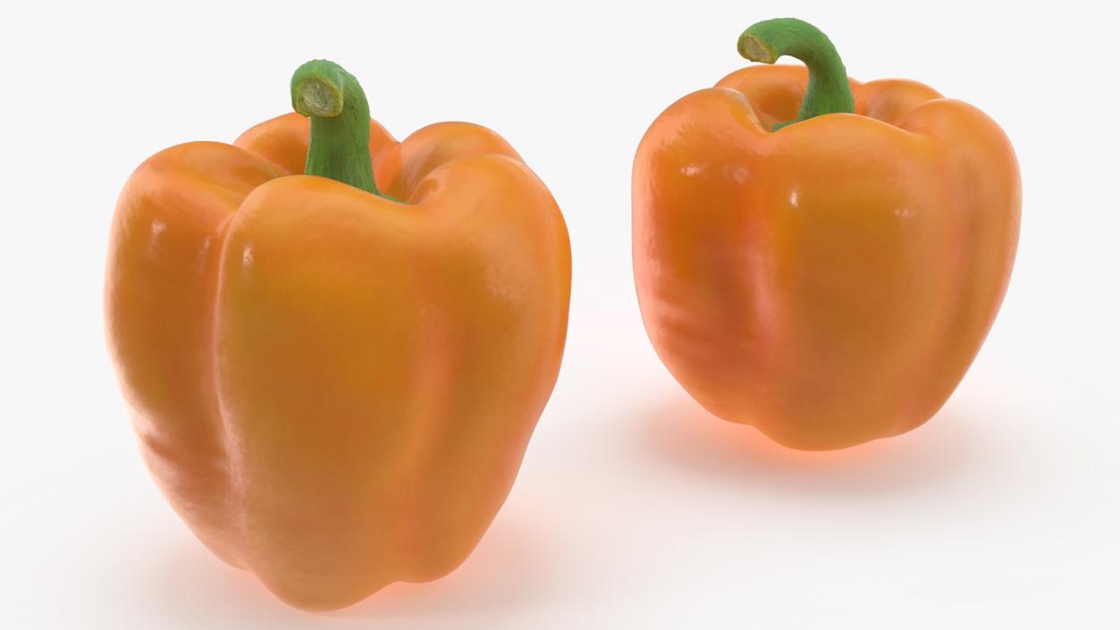 Bell Pepper Orange Sun 3D