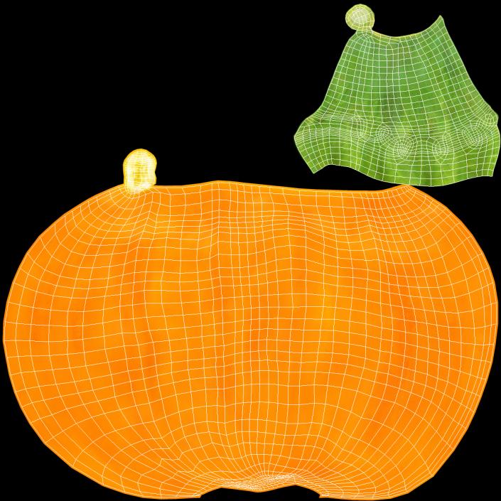 Bell Pepper Orange Sun 3D