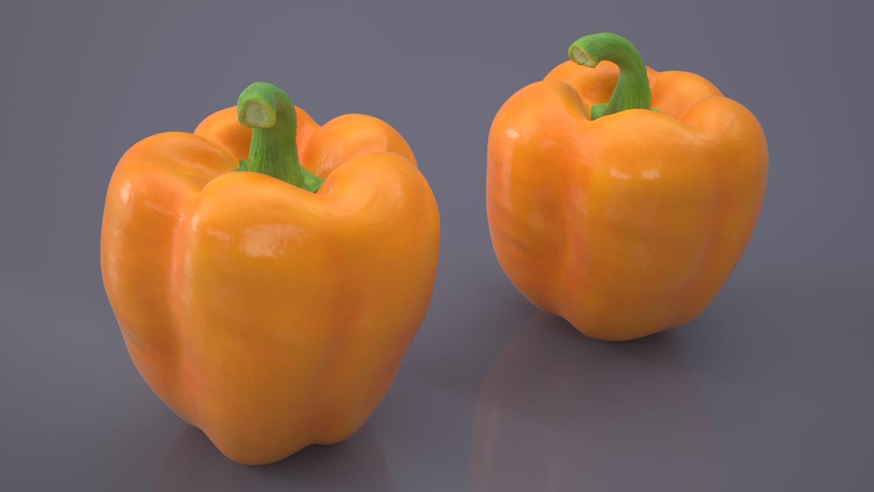 Bell Pepper Orange Sun 3D