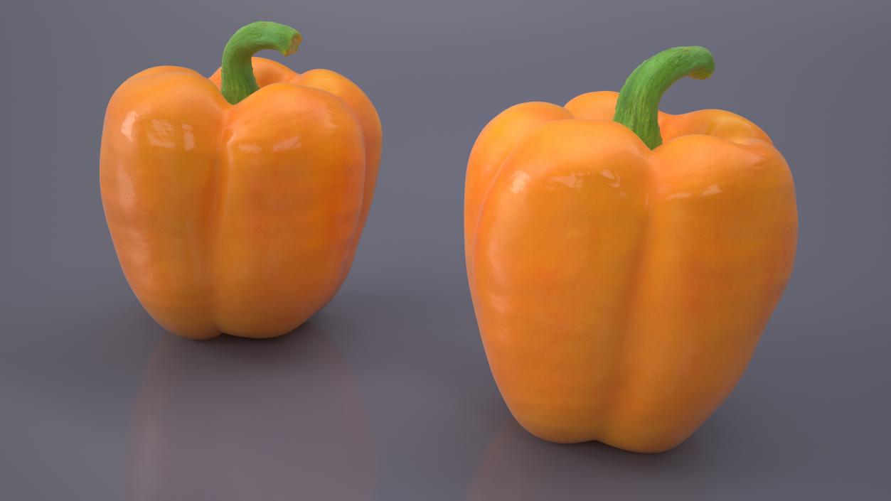 Bell Pepper Orange Sun 3D