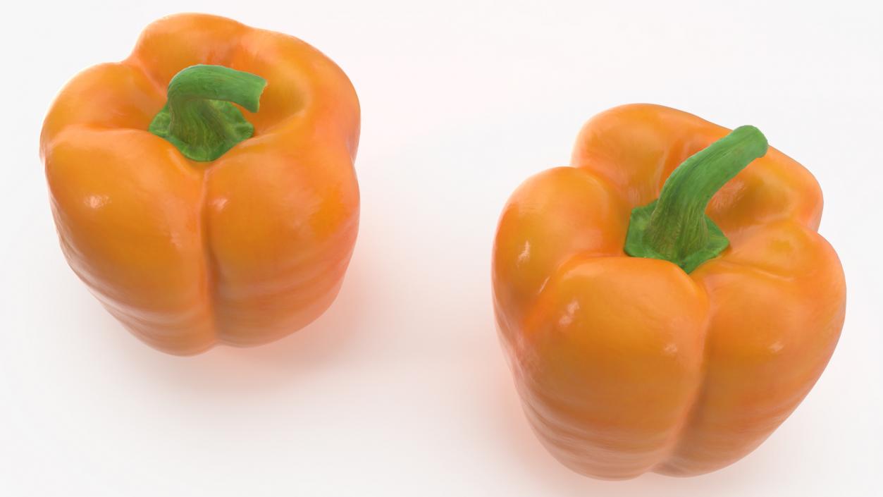 Bell Pepper Orange Sun 3D