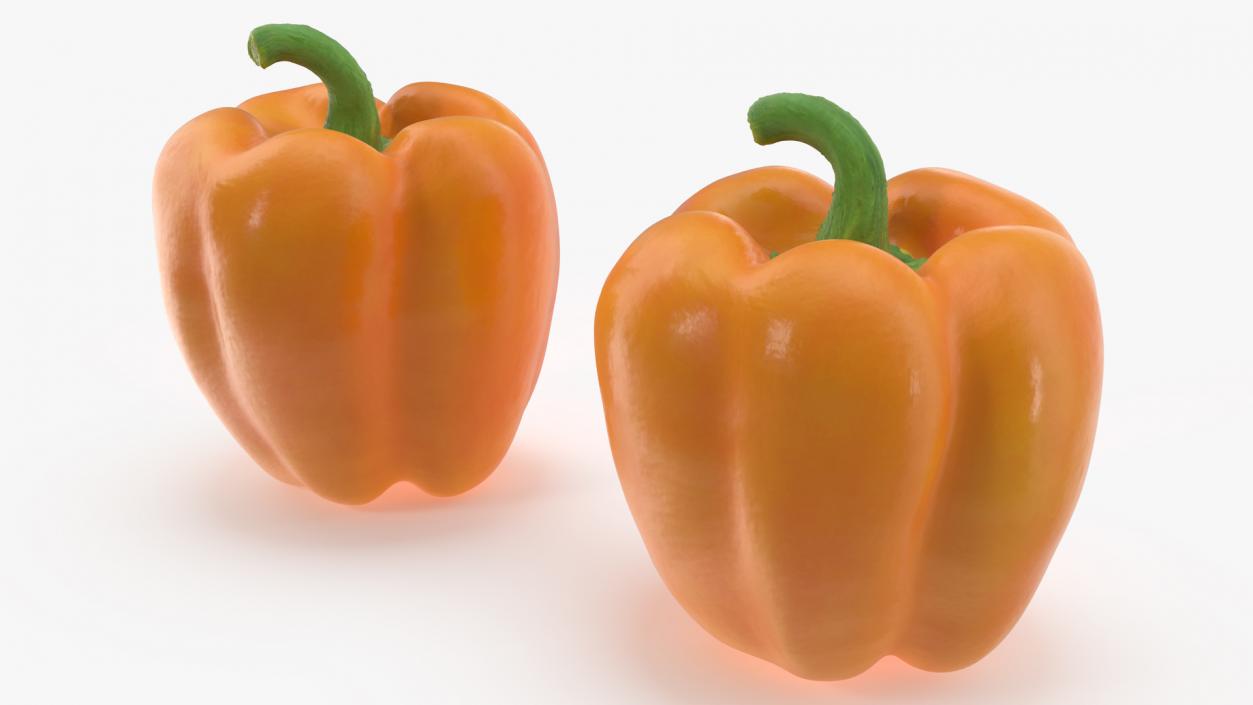 Bell Pepper Orange Sun 3D