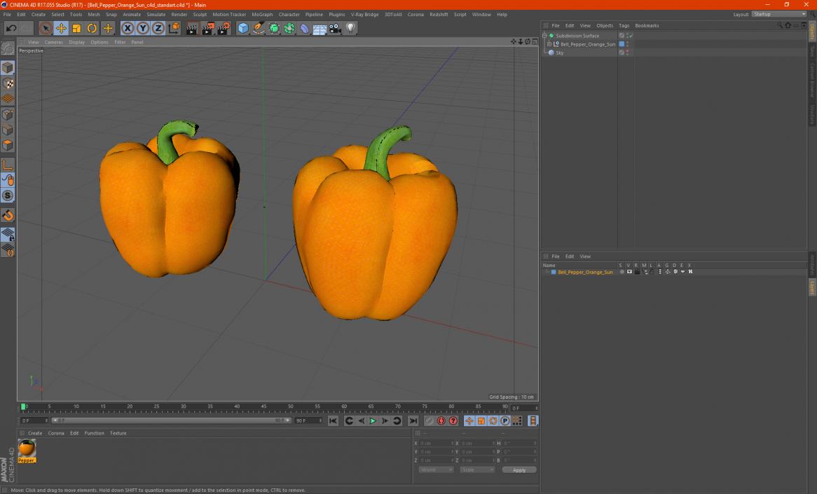 Bell Pepper Orange Sun 3D