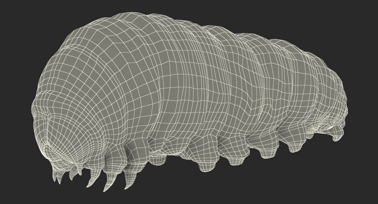 Swallowtail Caterpillar or Papilio Machaon Rigged 3D model