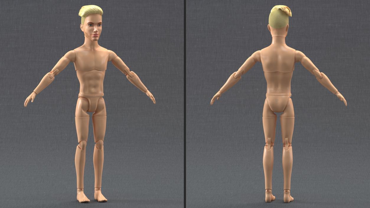 Barbie Ken GTD90 Rigged Fur 3D