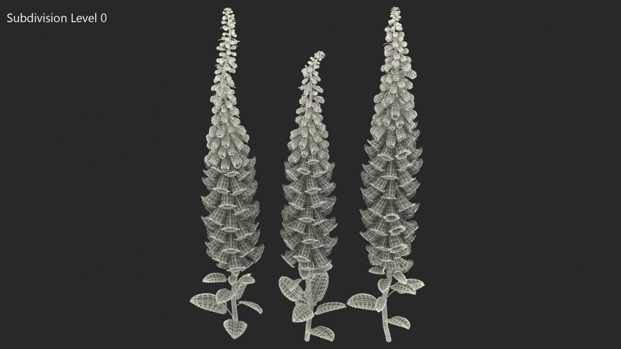 3D model Mixed Pink Foxglove Plants Set