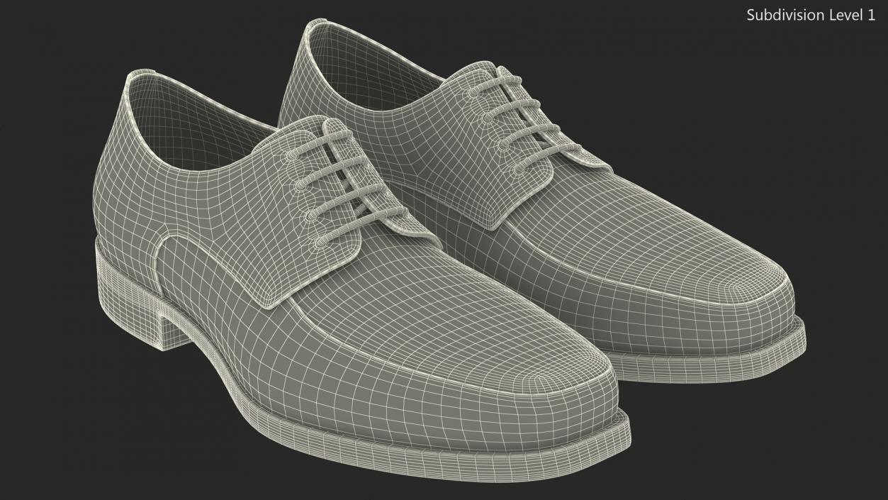 3D model Mens Used Shoes