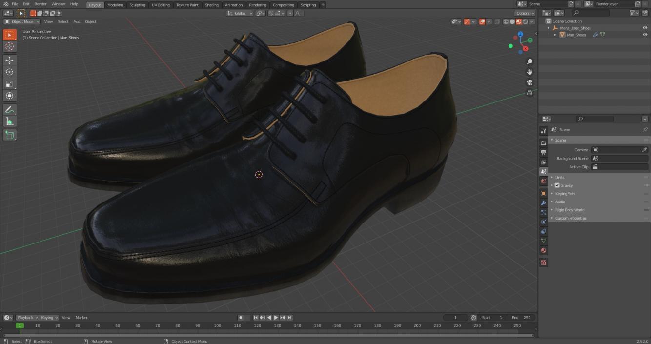 3D model Mens Used Shoes