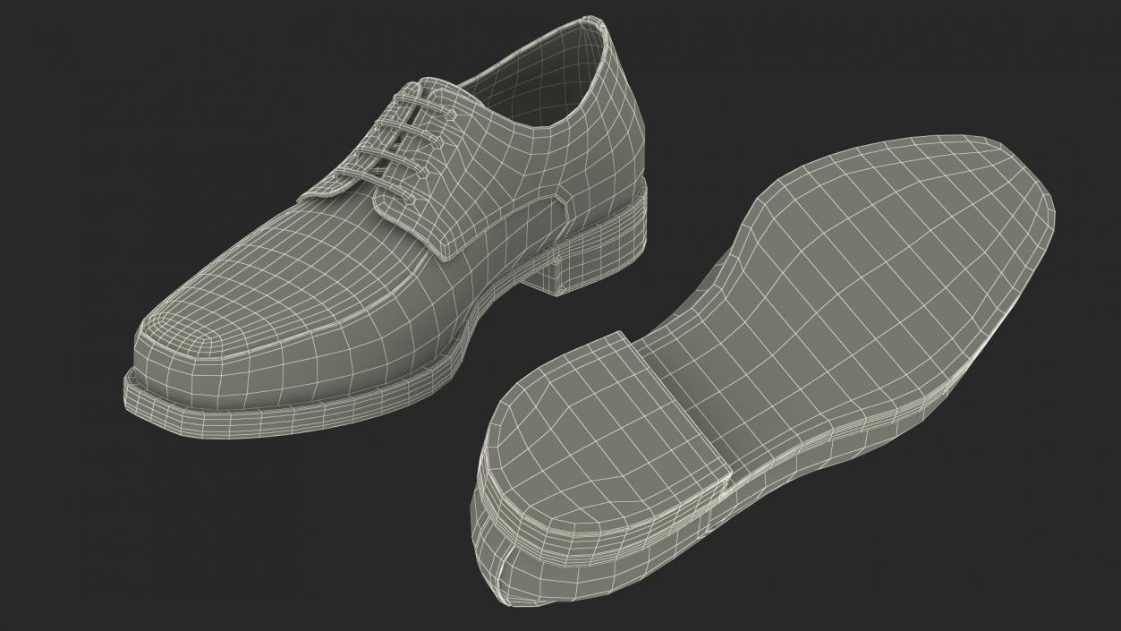 3D model Mens Used Shoes