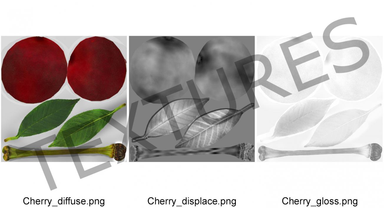 3D Cherry with Leaf