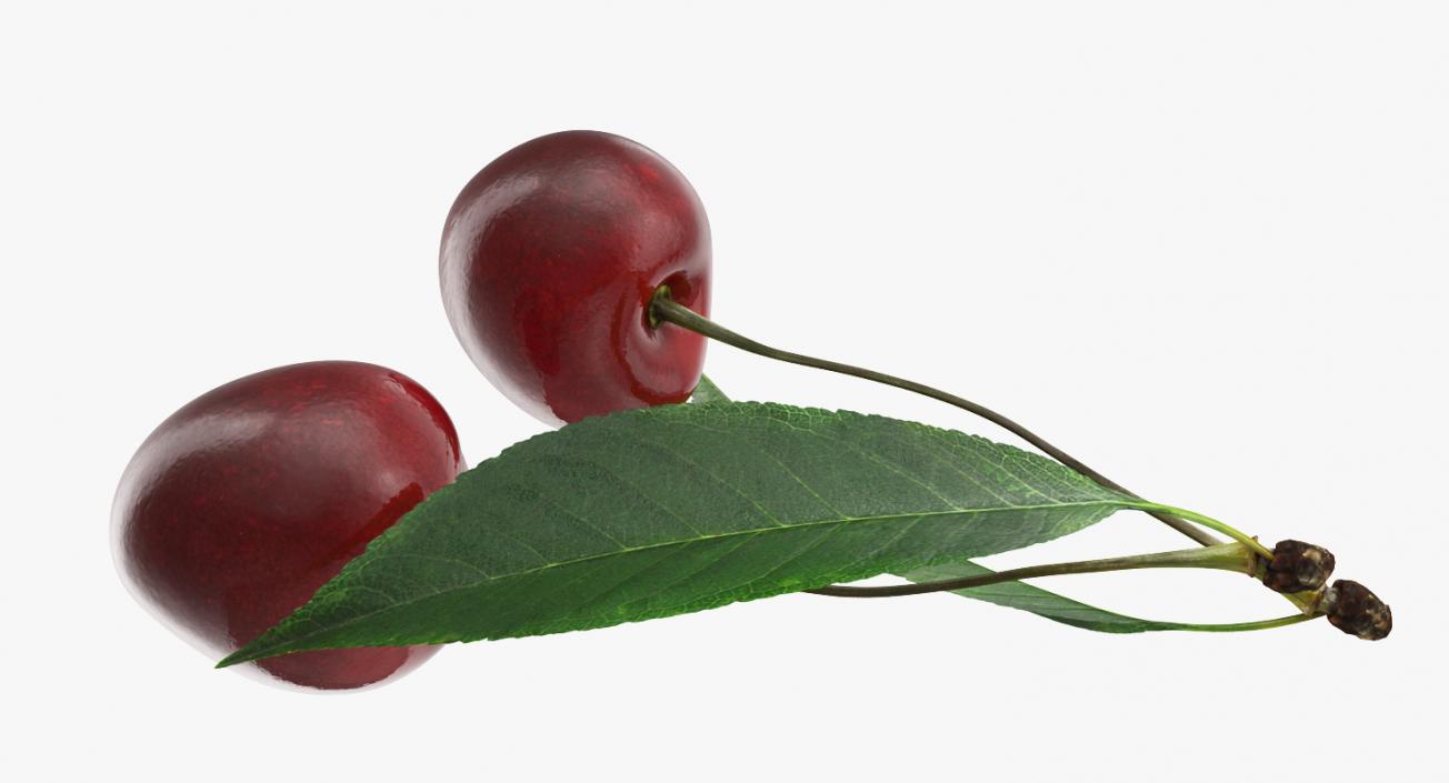 3D Cherry with Leaf