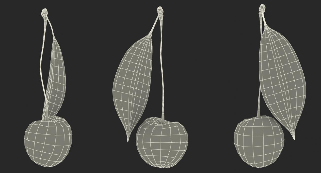 3D Cherry with Leaf