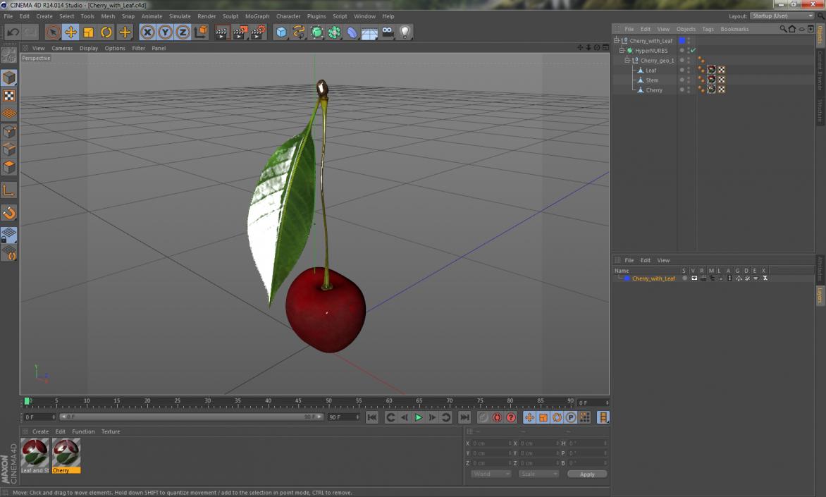 3D Cherry with Leaf