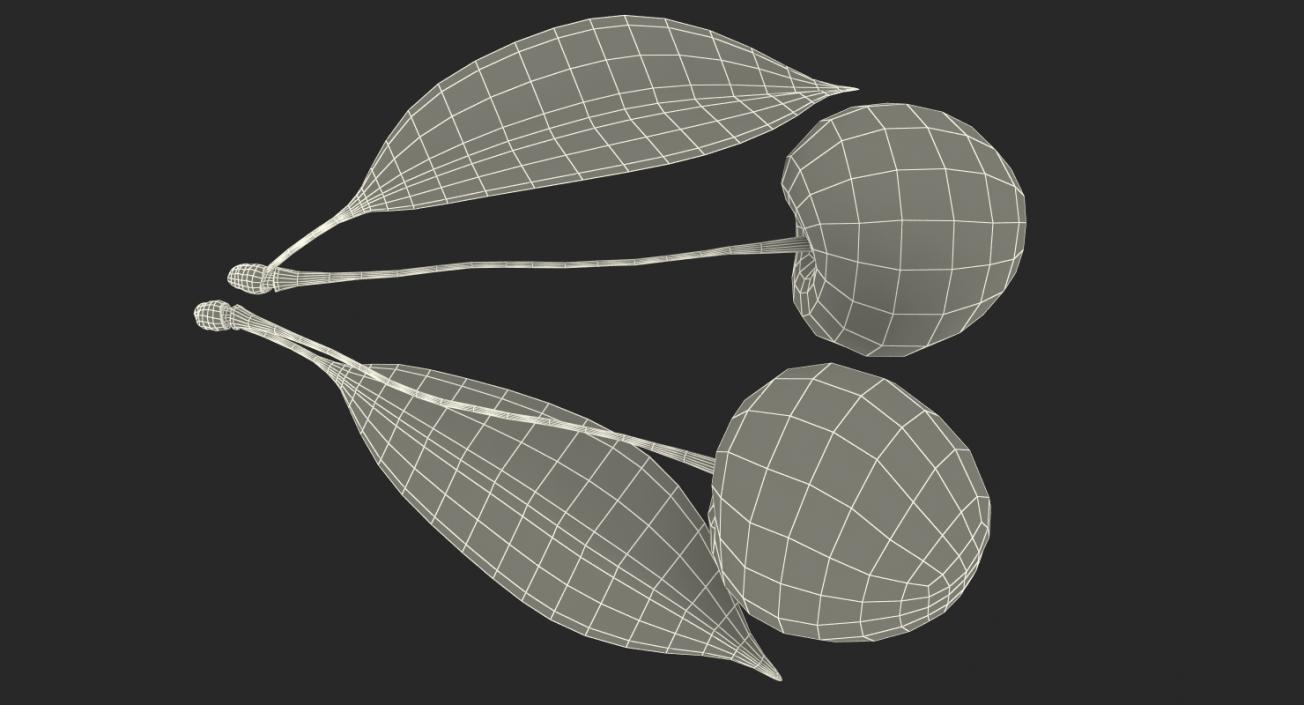 3D Cherry with Leaf