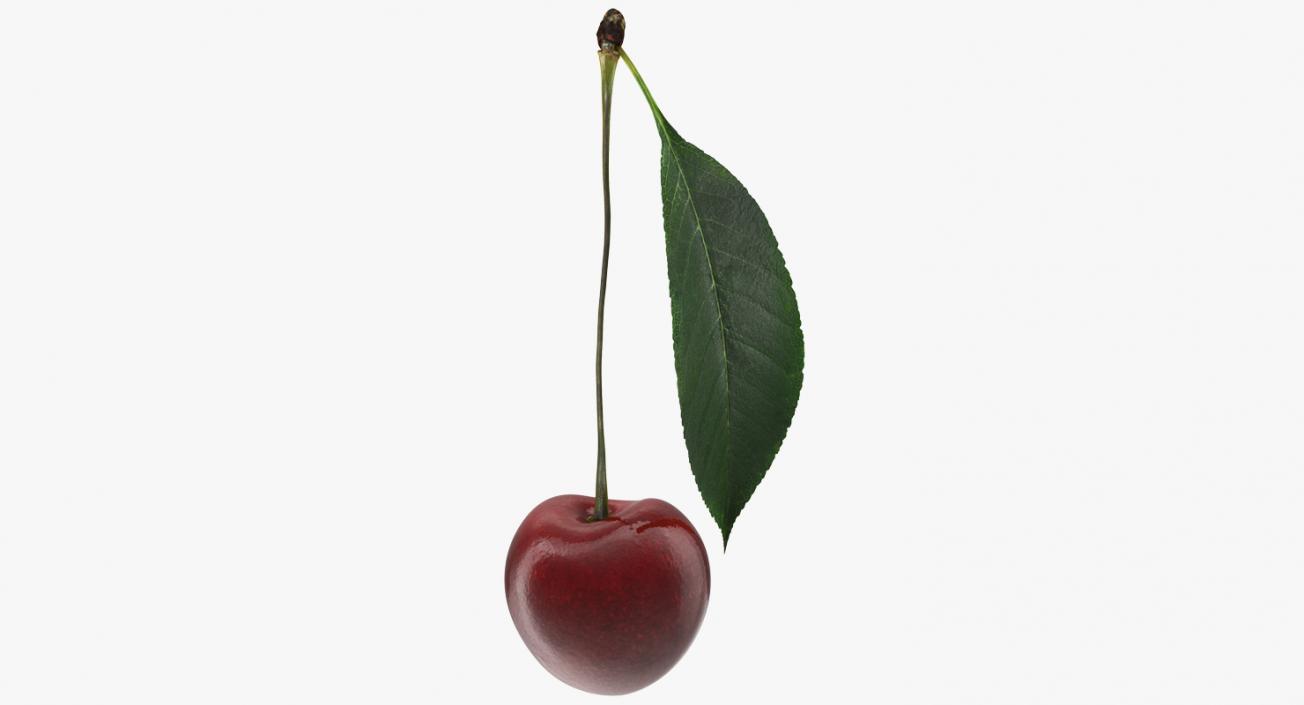 3D Cherry with Leaf