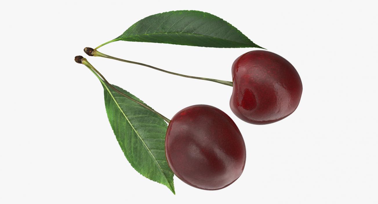 3D Cherry with Leaf