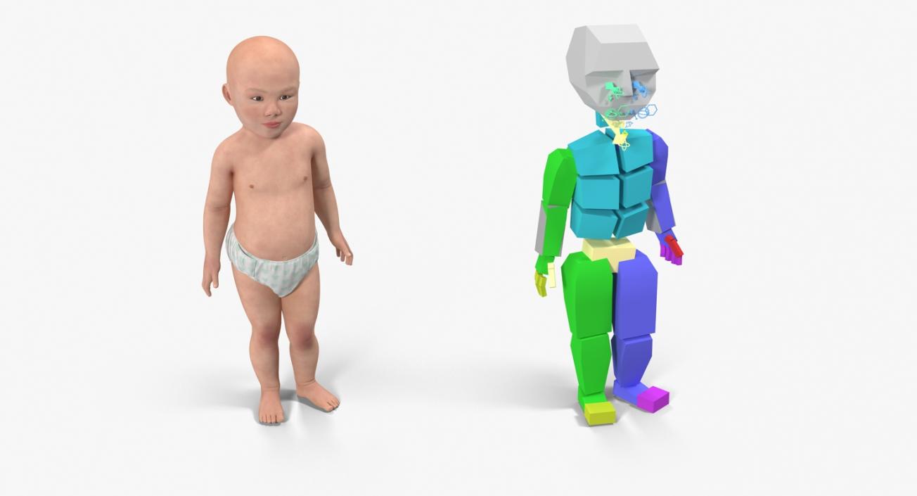 Asian Baby Rigged 3D