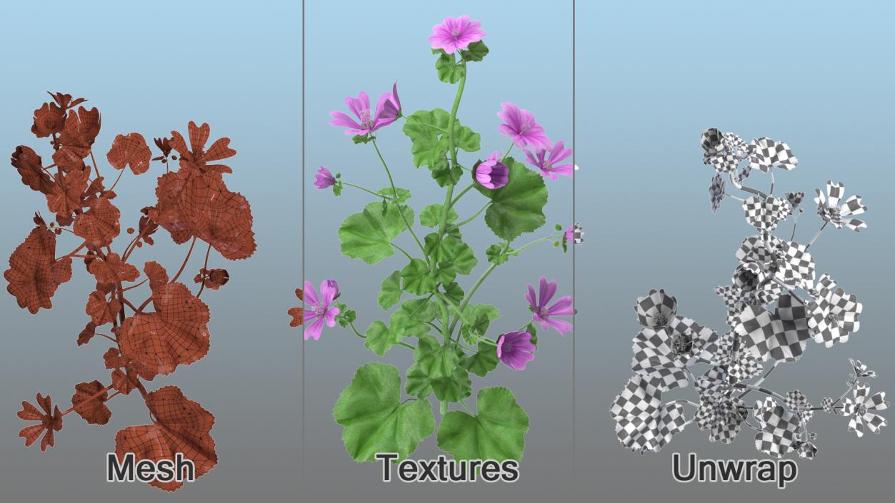 Common Mallow Plants Set 3D model