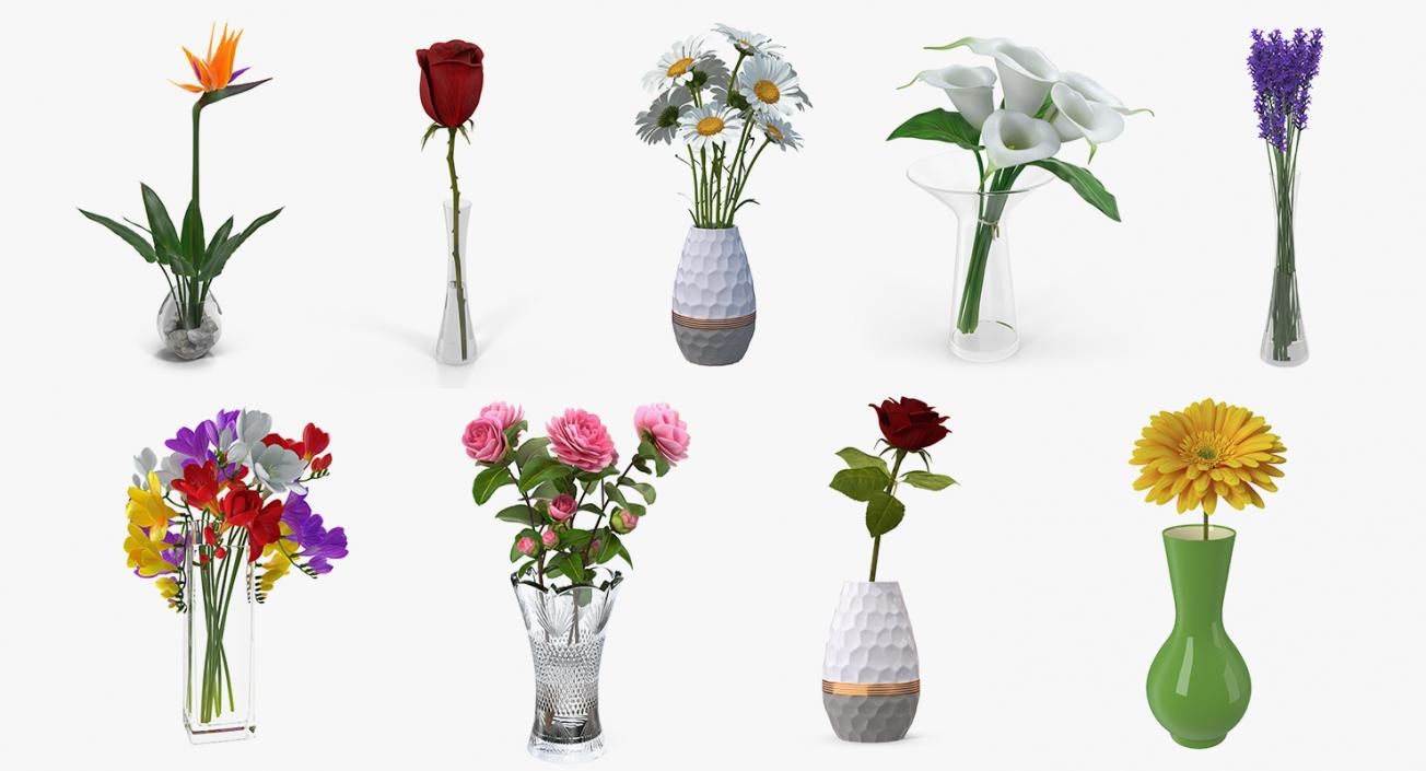 Flowers in Vases Collection 3 3D model