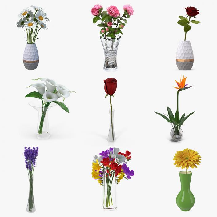 Flowers in Vases Collection 3 3D model