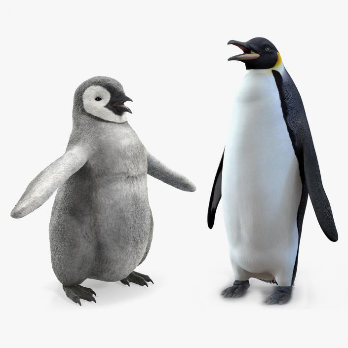 3D model Emperor Penguin and Baby Collection