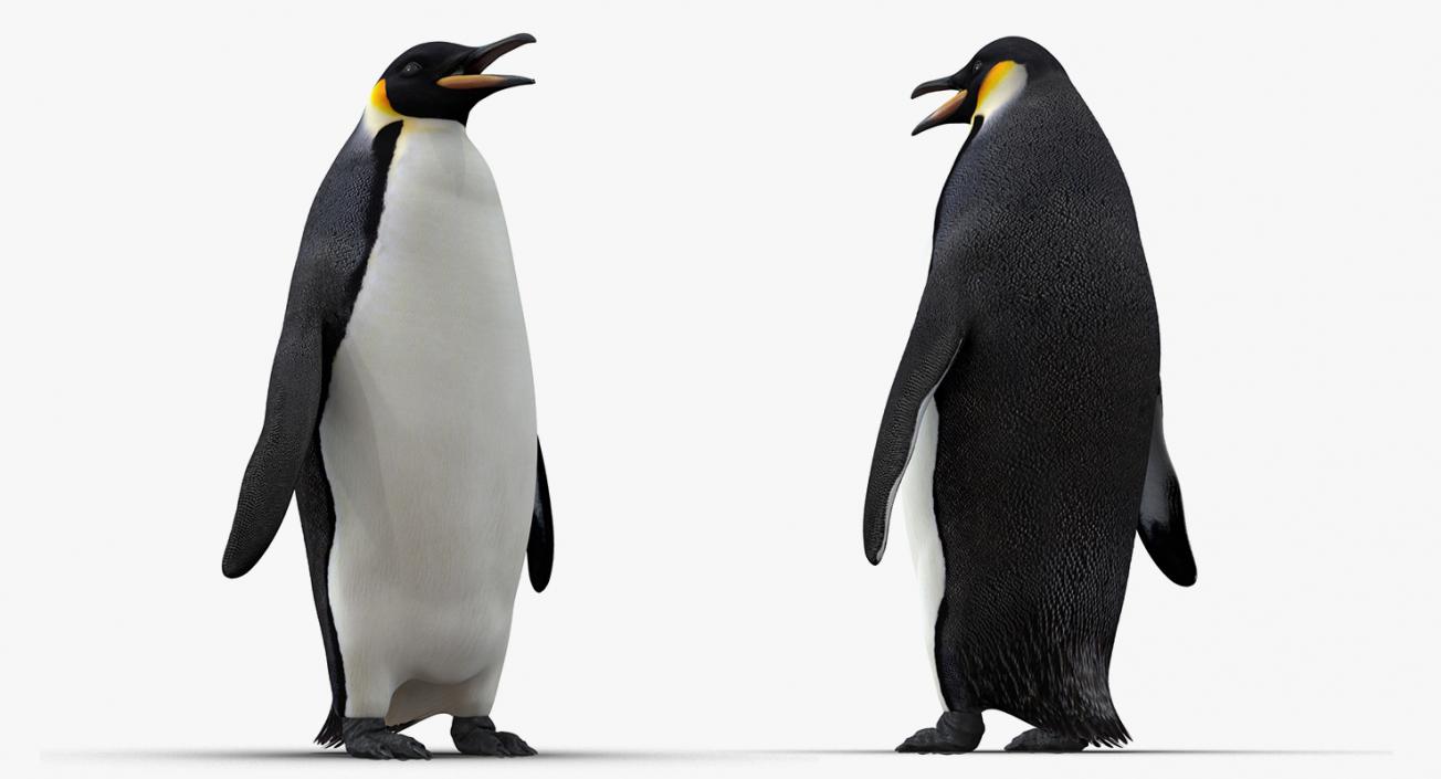 3D model Emperor Penguin and Baby Collection