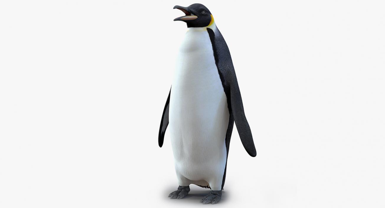 3D model Emperor Penguin and Baby Collection