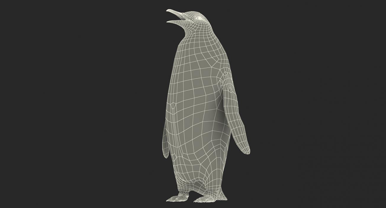 3D model Emperor Penguin and Baby Collection