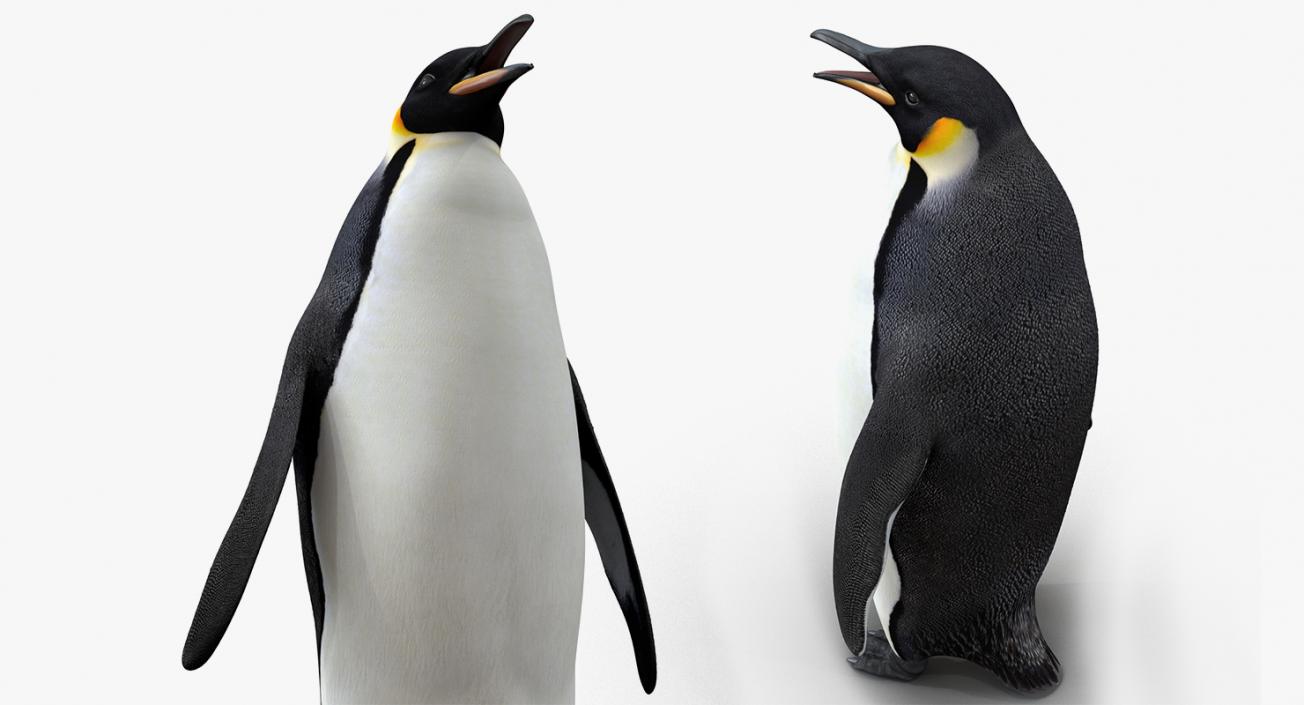 3D model Emperor Penguin and Baby Collection