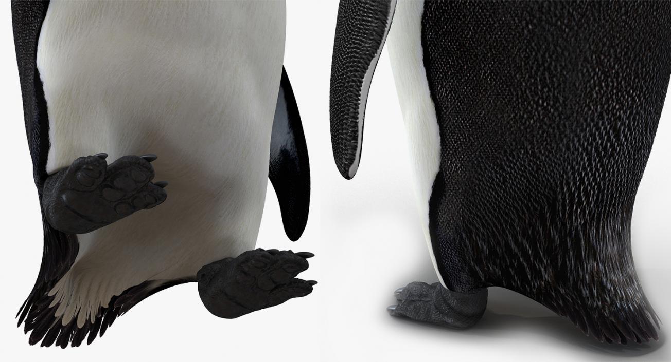 3D model Emperor Penguin and Baby Collection