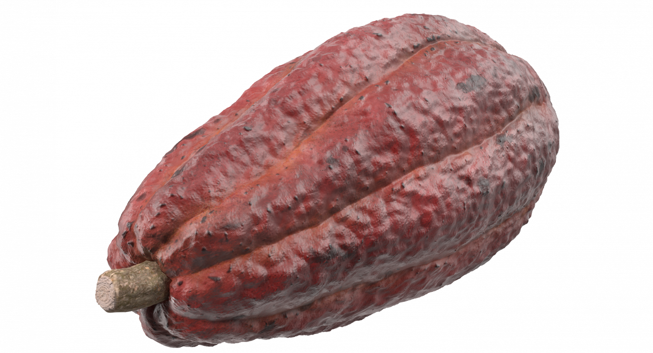 Brown Cocoa Fruit 3D