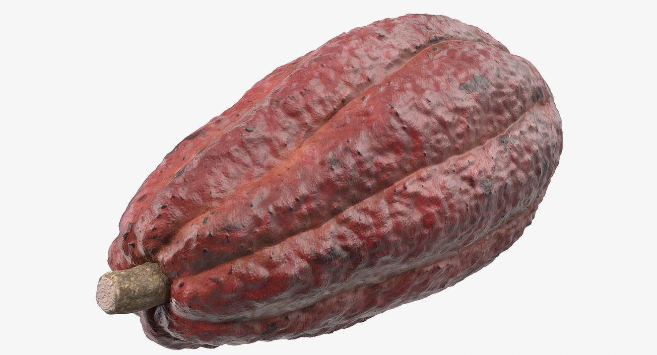 Brown Cocoa Fruit 3D