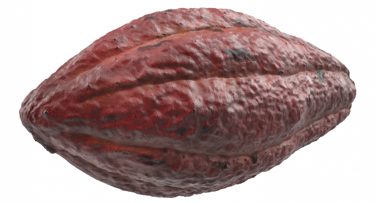 Brown Cocoa Fruit 3D