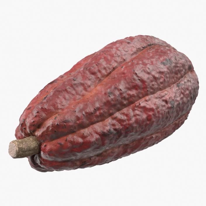 Brown Cocoa Fruit 3D