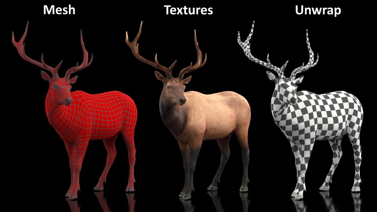 3D model Realistic Elk Rigged