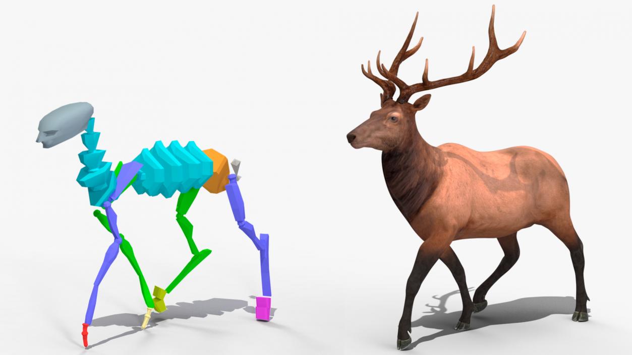 3D model Realistic Elk Rigged