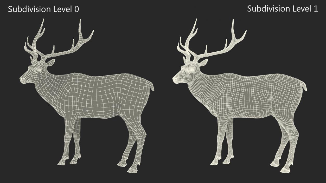 3D model Realistic Elk Rigged