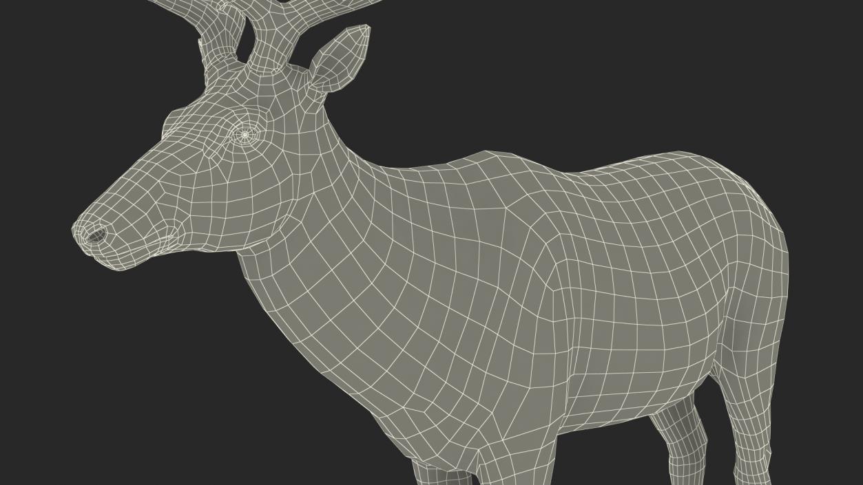 3D model Realistic Elk Rigged