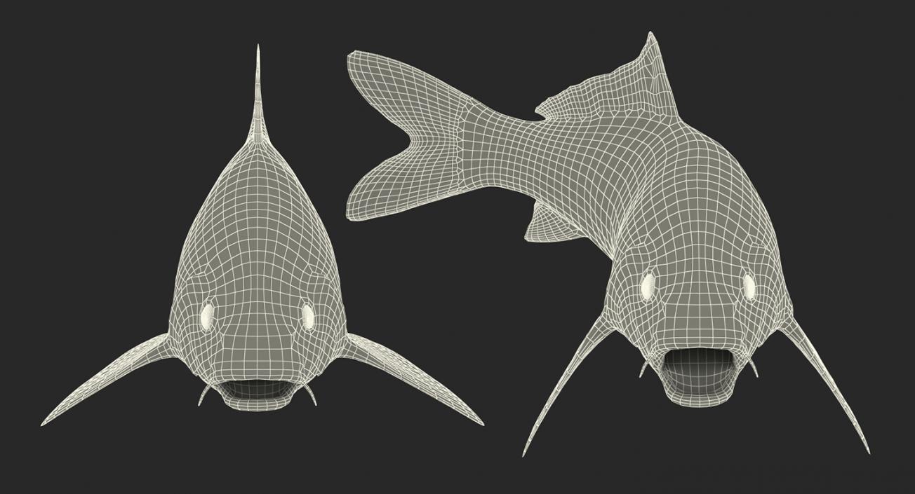 Yellow Koi Ogon Fish Rigged 3D