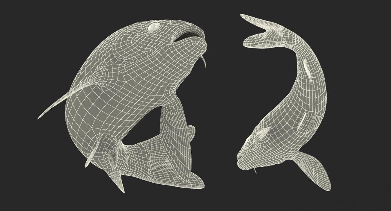 Yellow Koi Ogon Fish Rigged 3D