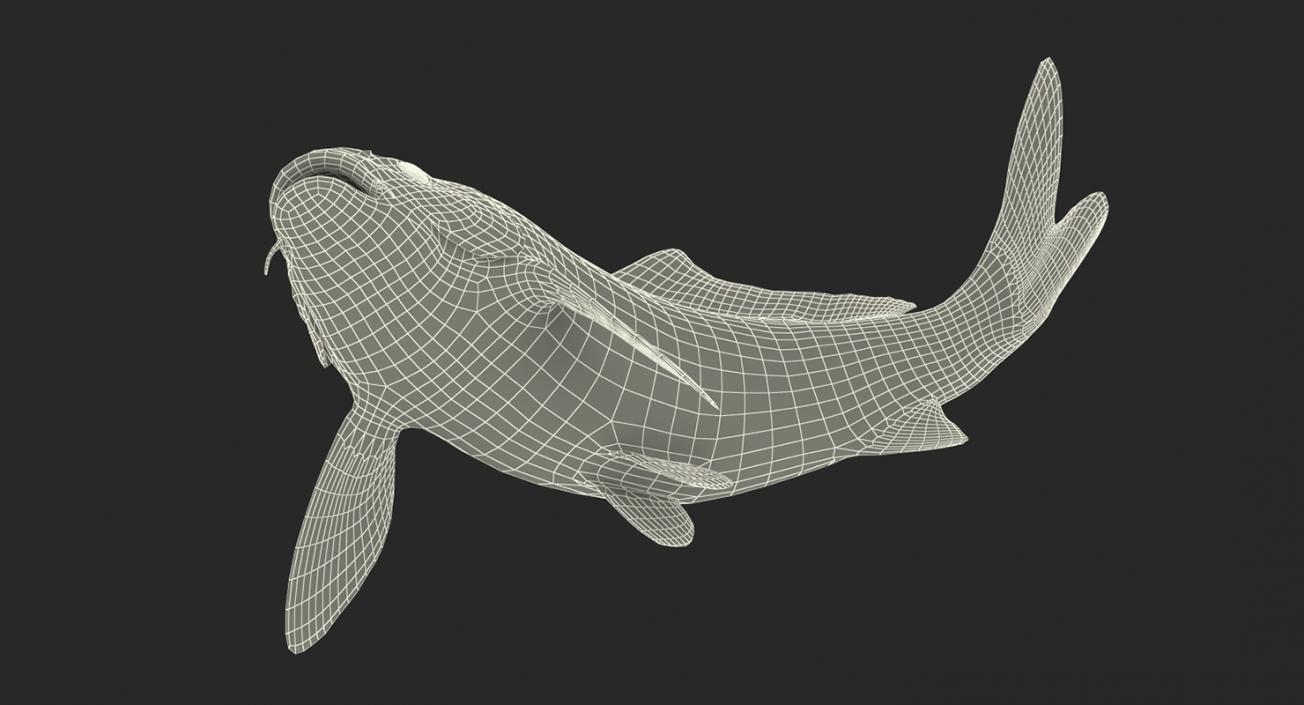 Yellow Koi Ogon Fish Rigged 3D