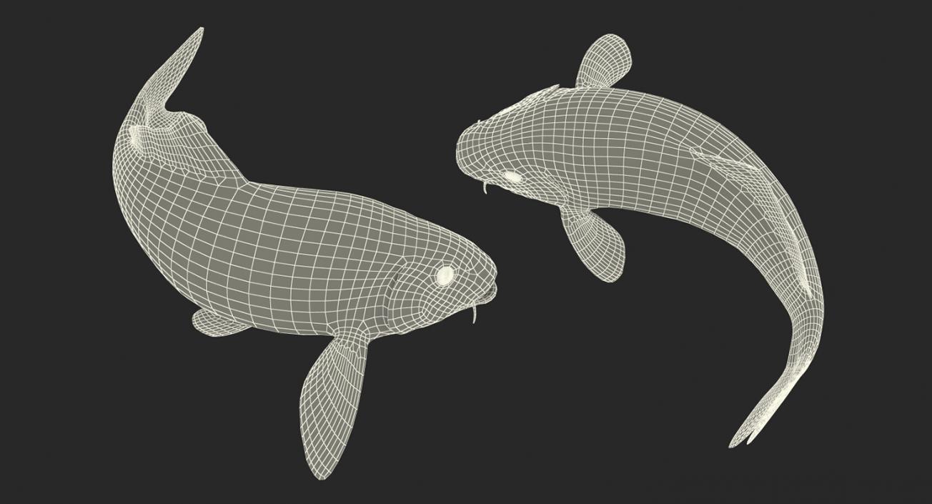 Yellow Koi Ogon Fish Rigged 3D