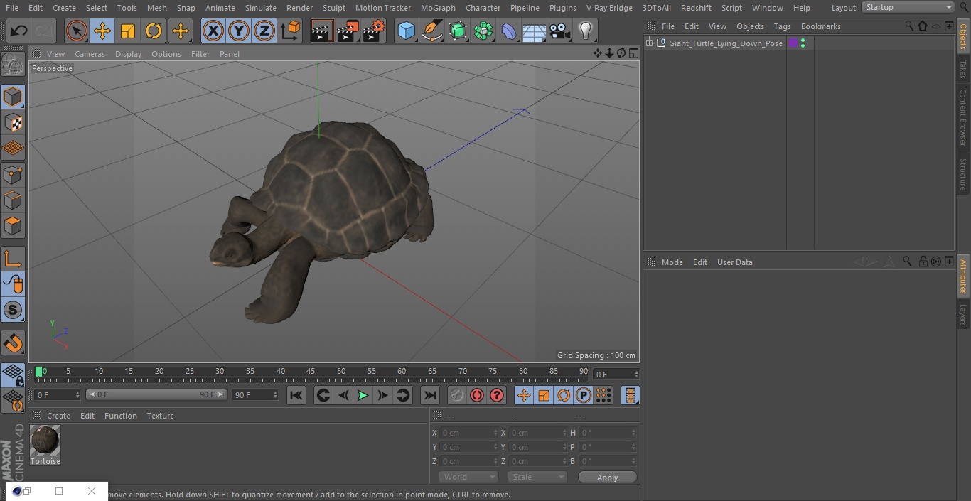 3D Giant Turtle Lying Down Pose model