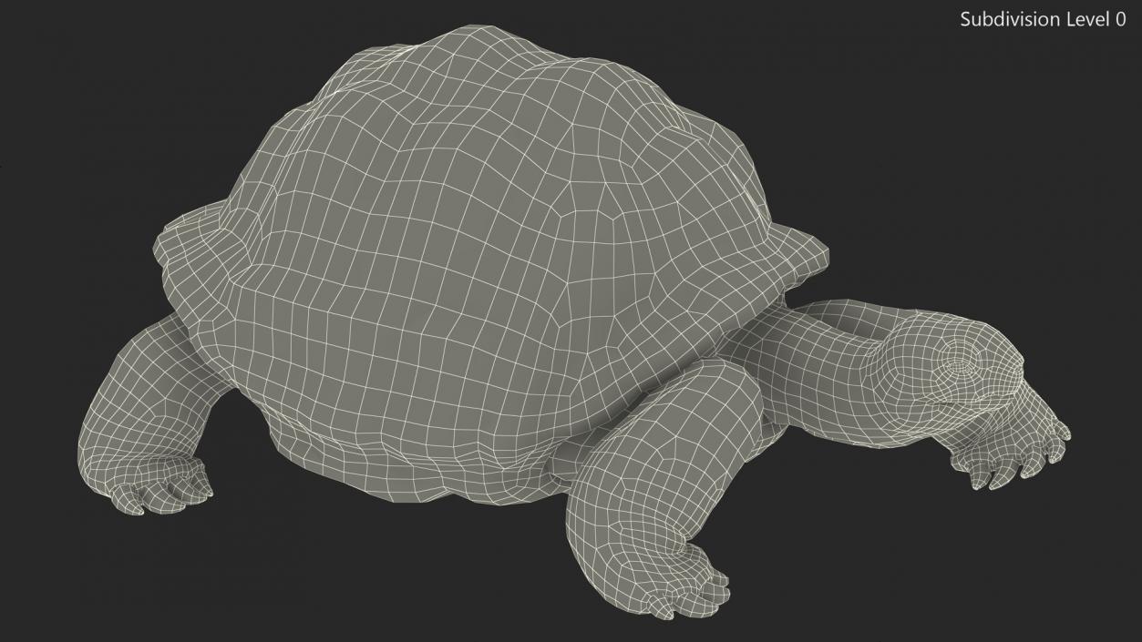 3D Giant Turtle Lying Down Pose model