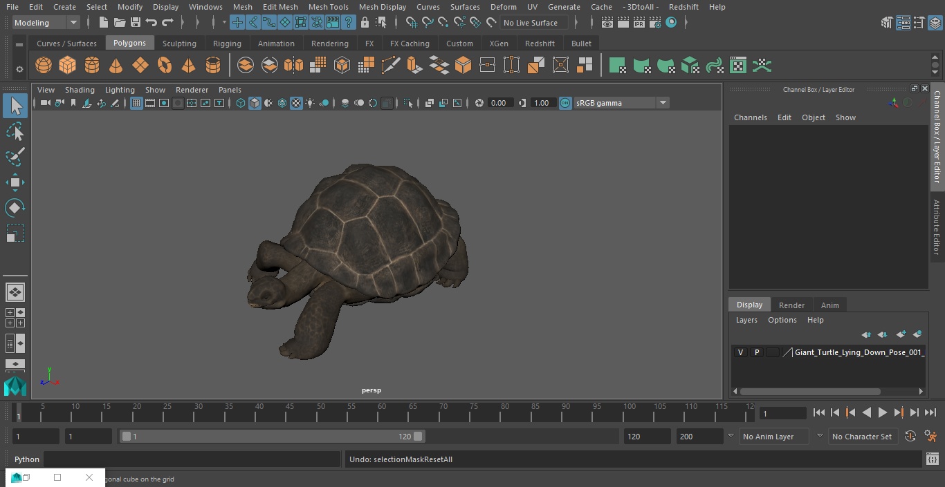 3D Giant Turtle Lying Down Pose model